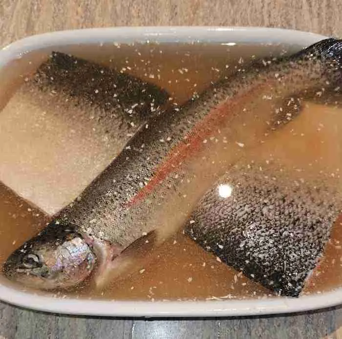 fishbrine1 Salmon and Trout in Brine