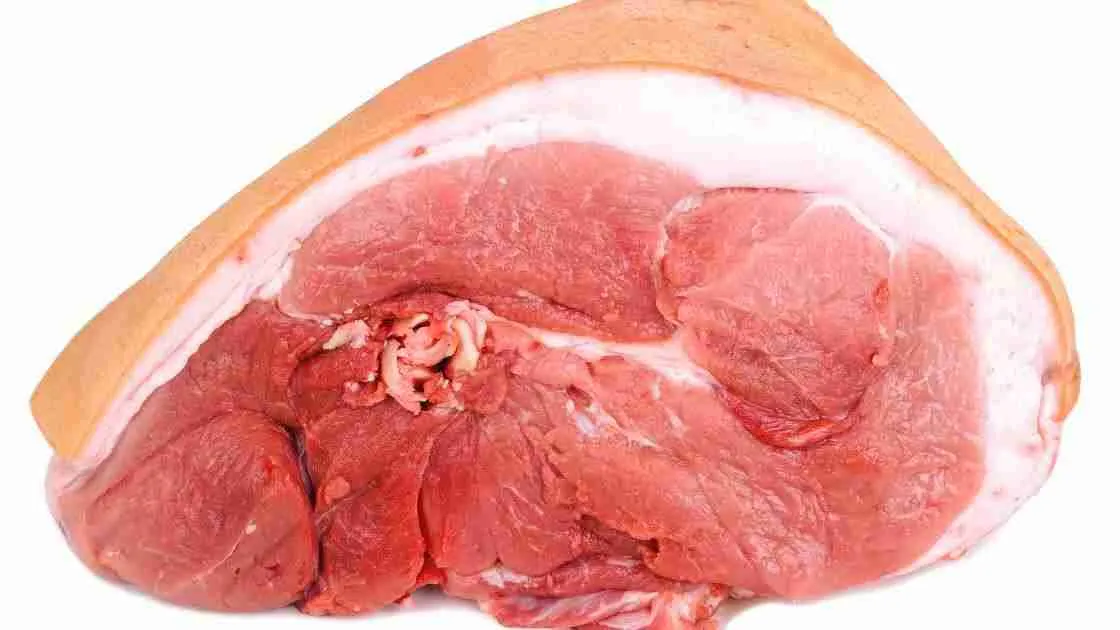 A raw ham joint with a layer of fat on the edge isolated on a white background.